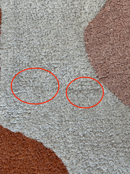 IMPARFAIT Oiseaux Bleu Terracotta 120 X 170 (N°1)