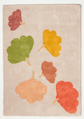 Tapis Ginko Vert Terracotta